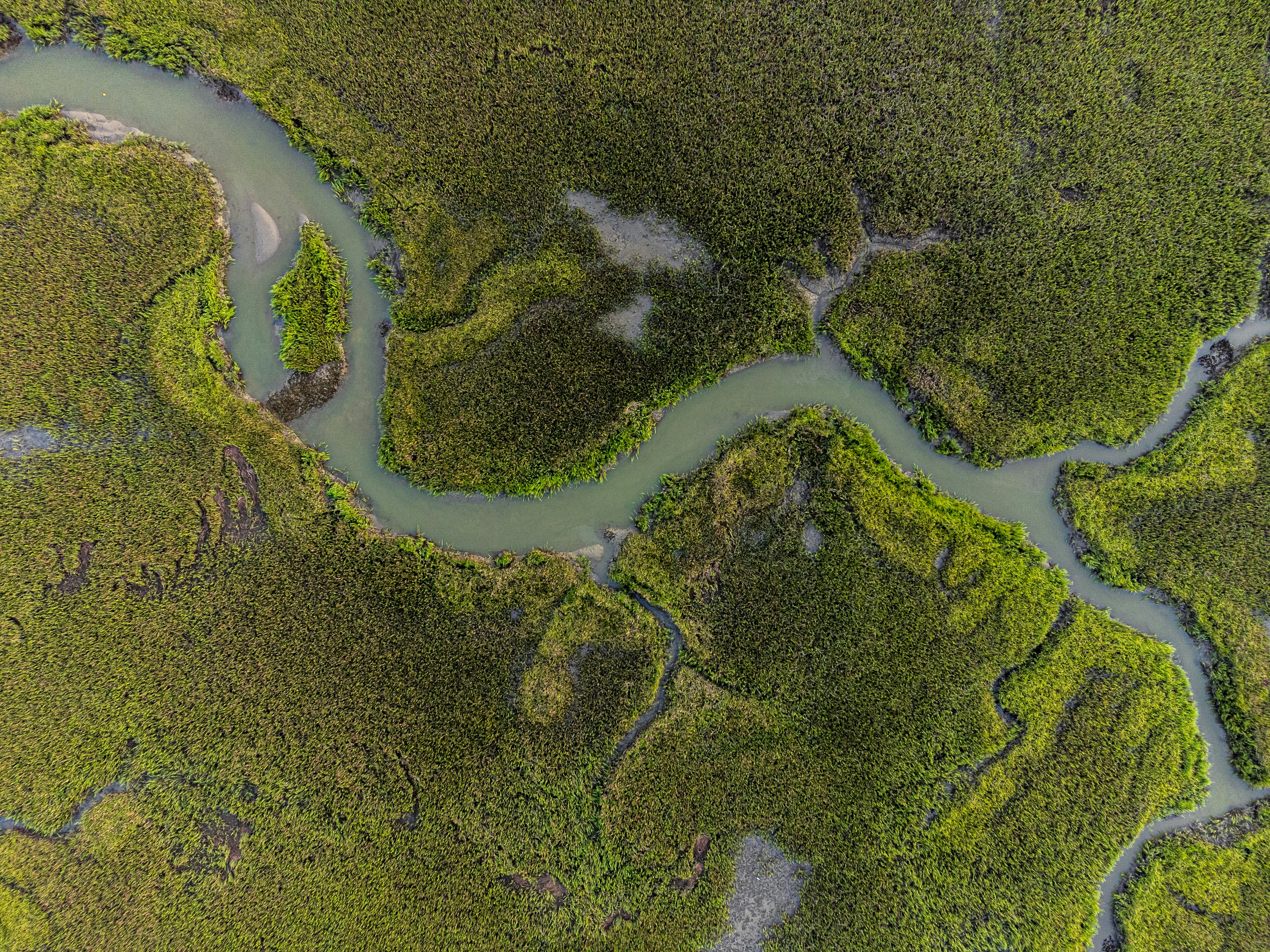 River running through jungle from Matt Benson, Unsplash